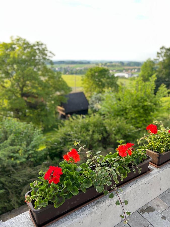 Gruenberg Apartments Гмунден Екстериор снимка